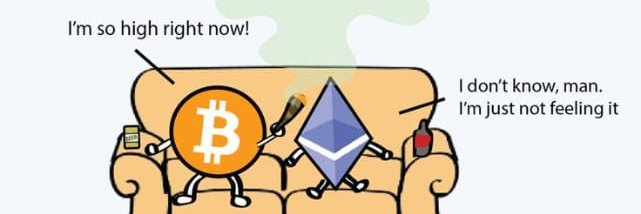 Vitalik Mil Grau's banner