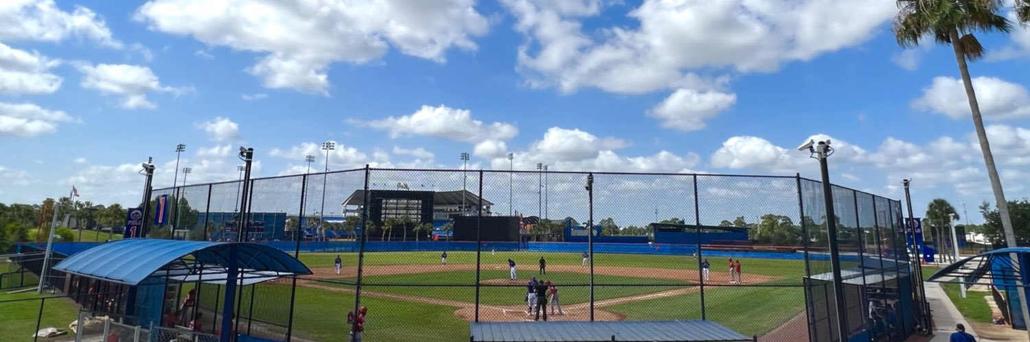 Florida Complex League Mets's banner
