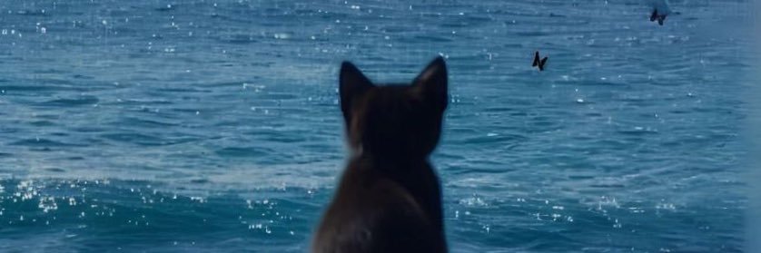 🖤's banner