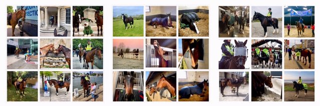 ASPoliceHorses's banner