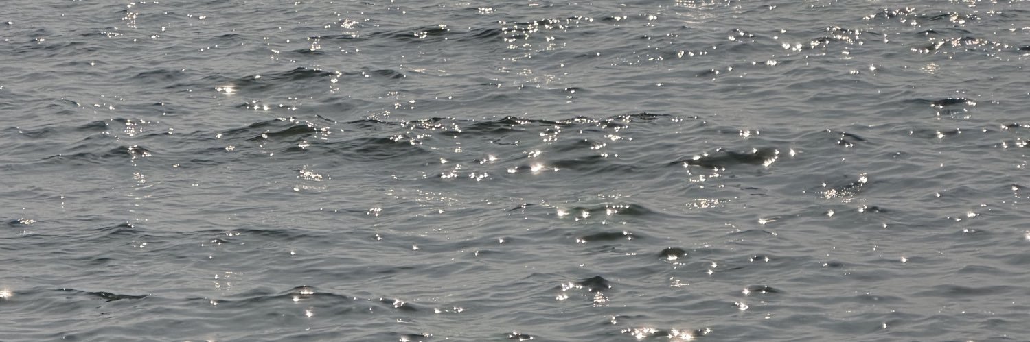 natty_ntm's banner