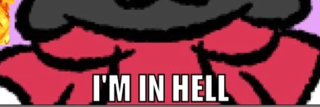 Skitty Cat 🔞's banner