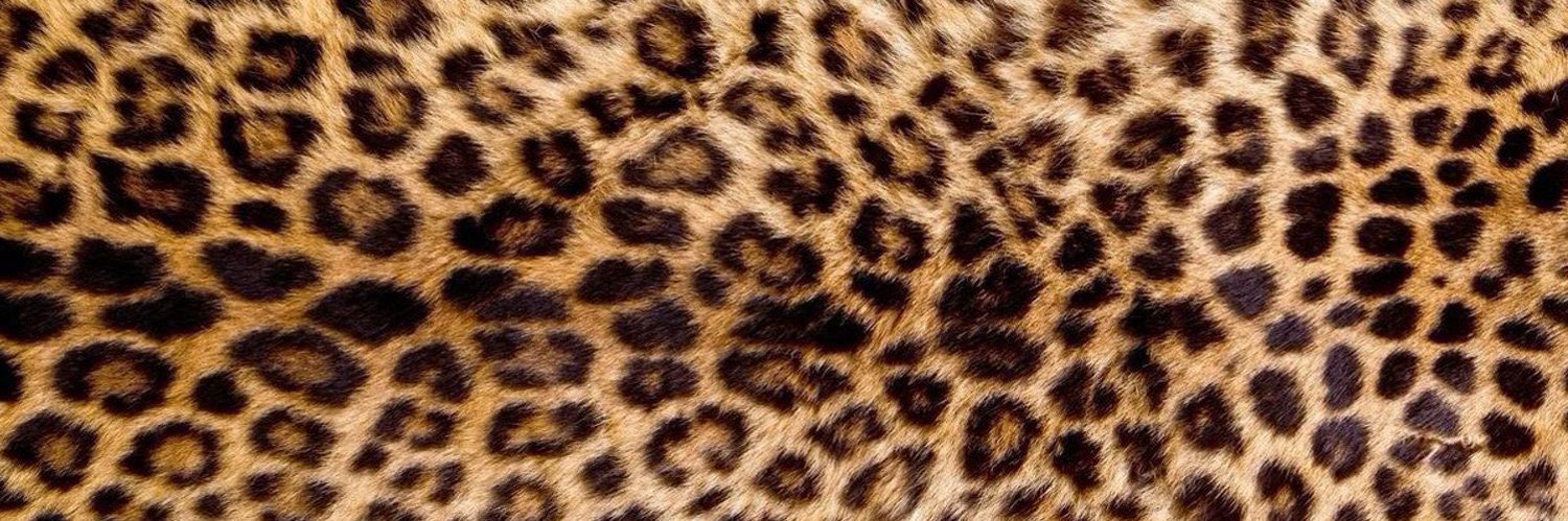 🐆's banner