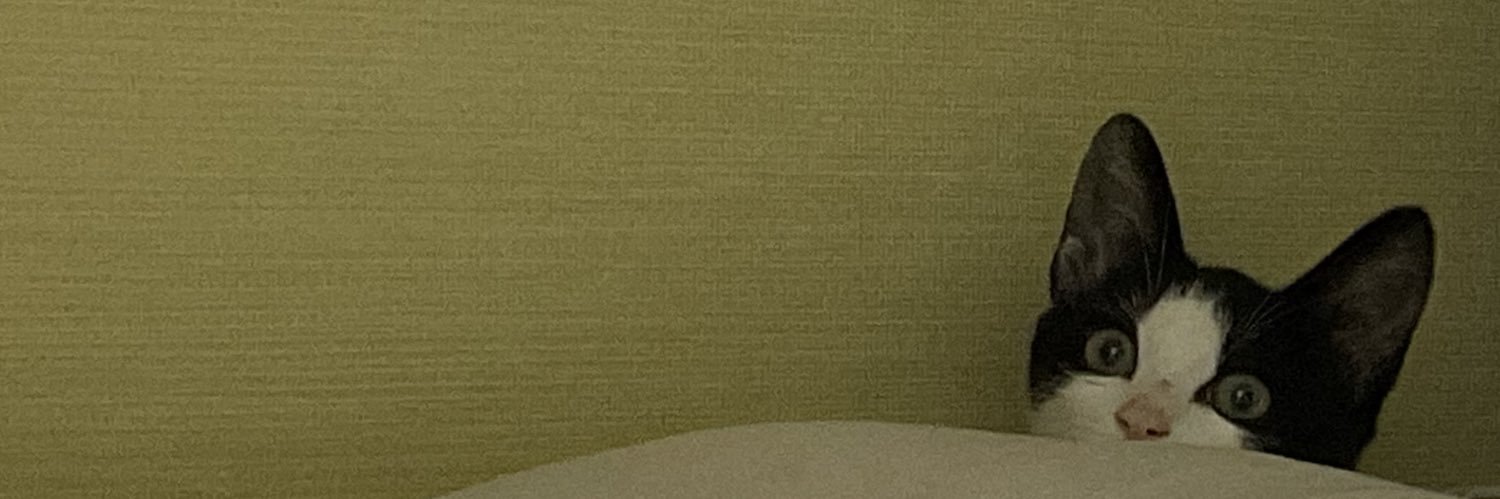 🖤이콩이🤍's banner