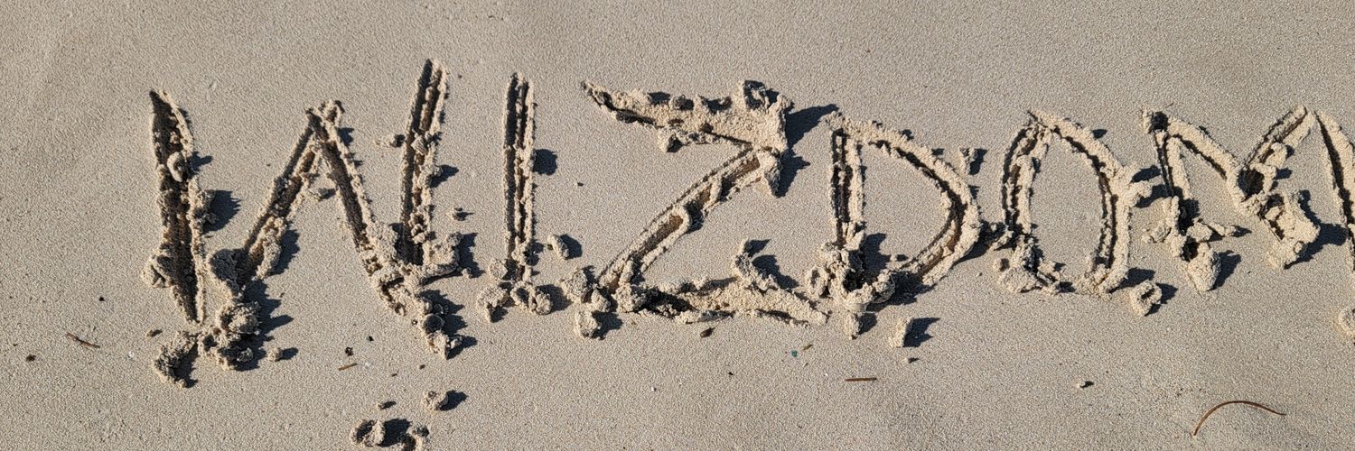 Wizdõm★'s banner