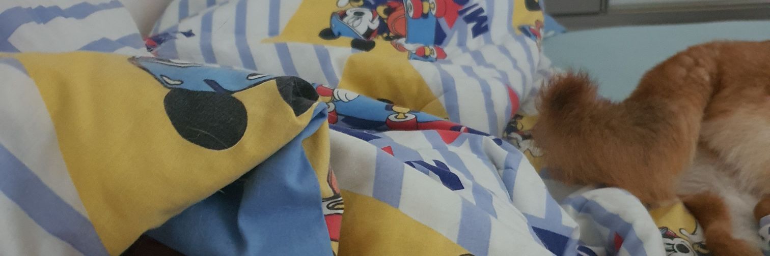 ainda com fome's banner