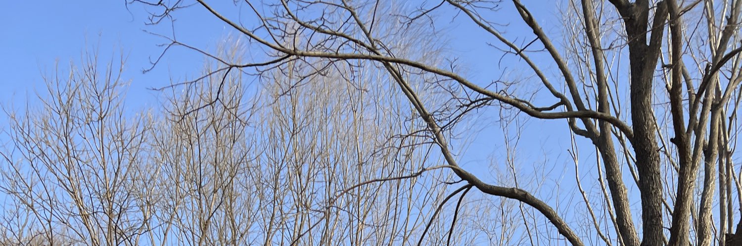 Бодон's banner
