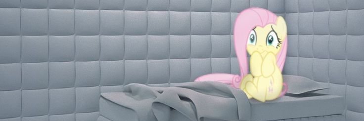 Tippi's banner