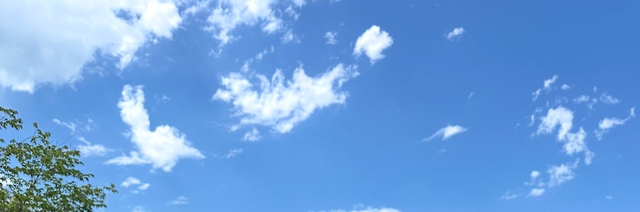 Lauren Jasmine's banner
