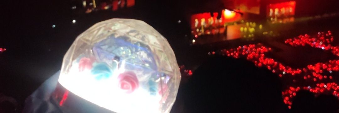 ఇ◝‿◜ఇ is missing hoshi 😔's banner
