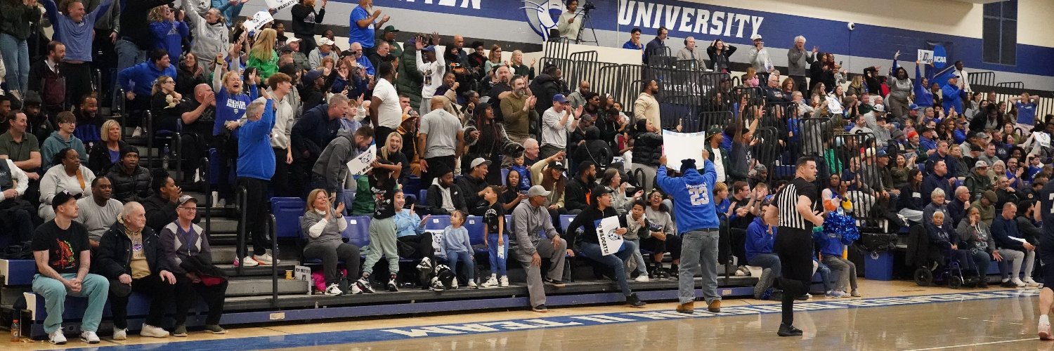 Daemen Men’s Basketball's banner
