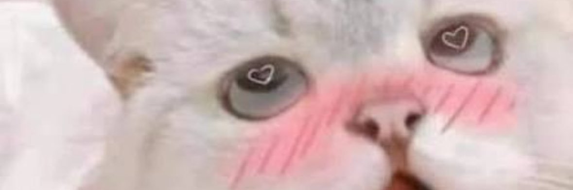 小貓咪咪🤍's banner