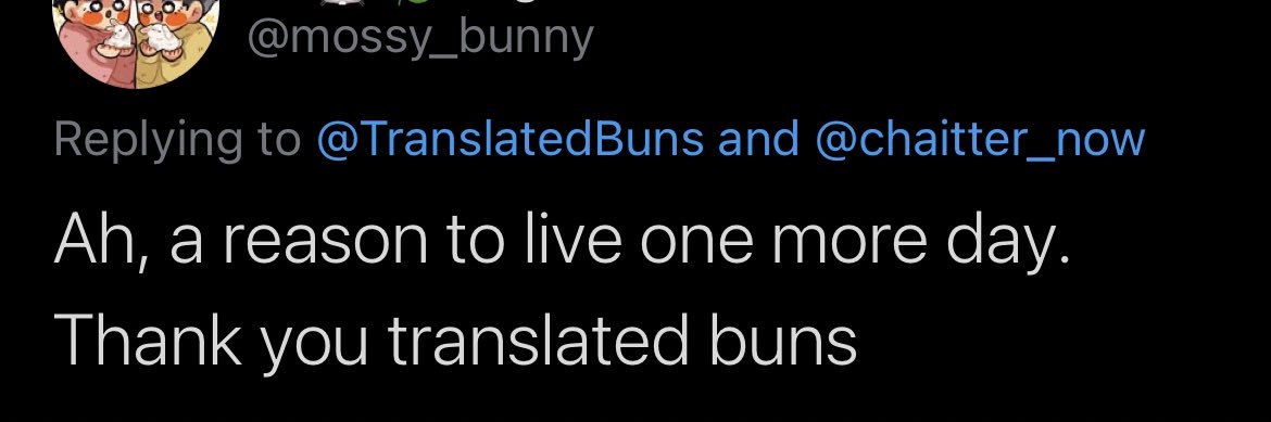 translated buns's banner