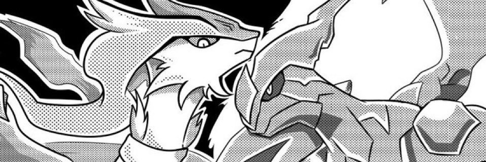 KC Xylo's banner