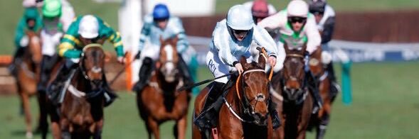 The Race Horse Guy's banner