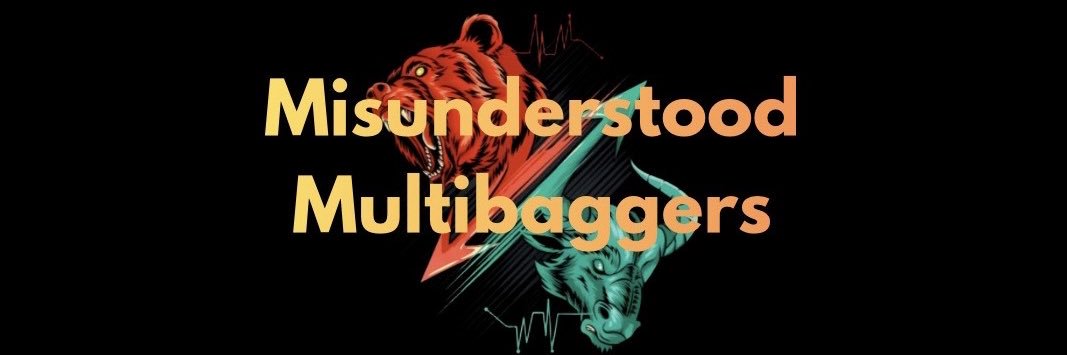 Misunderstood Multibaggers's banner