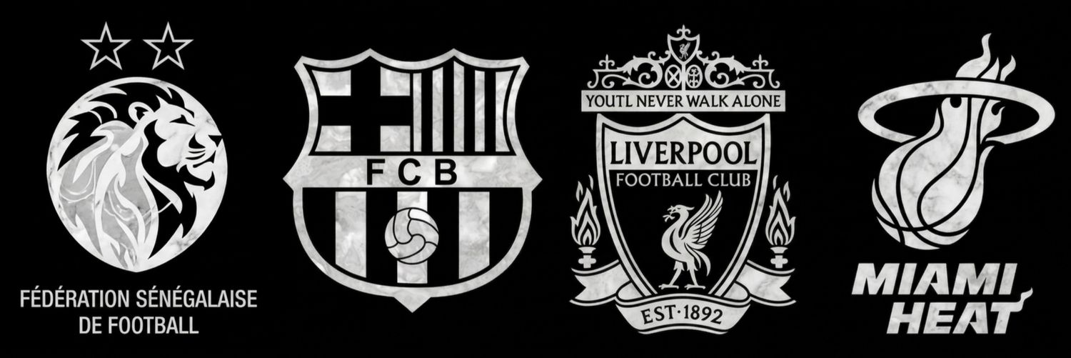 ʟ'ɪᴍᴘᴀʀꜰᴀɪᴛ🇸🇳⭐⭐'s banner
