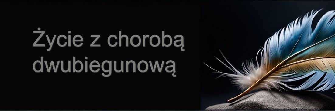 Normalny?'s banner