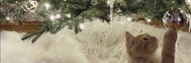 ulap fics ☄︎ (closed)'s banner