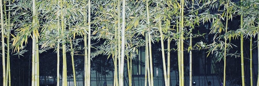 乌兹's banner