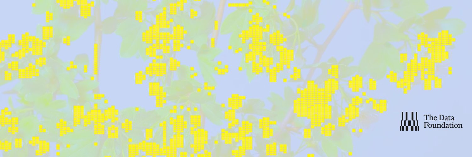 The DATA Foundation's banner