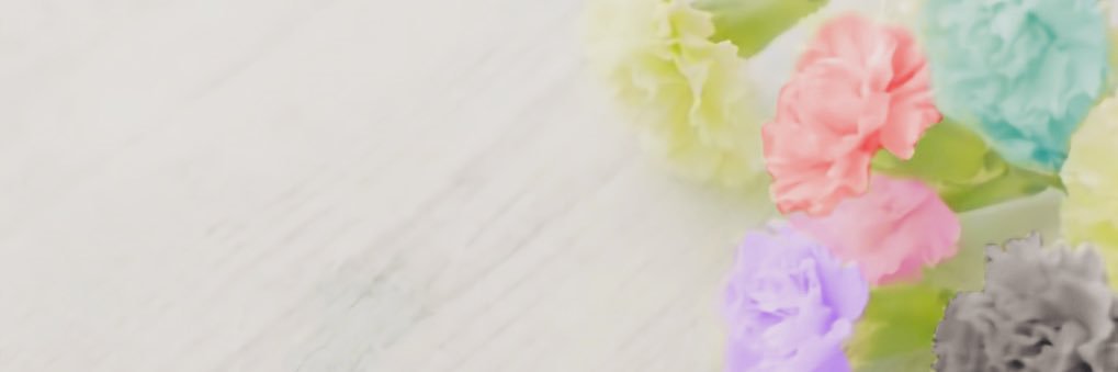 あおりいか's banner