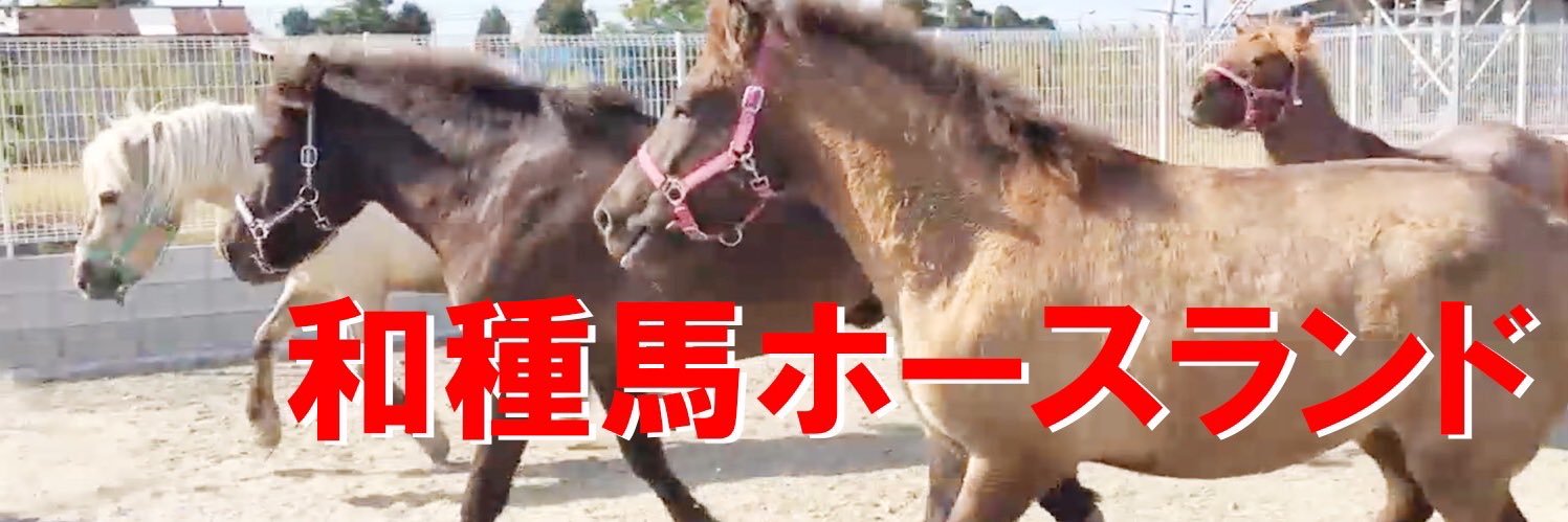 和種馬ホースランド's banner