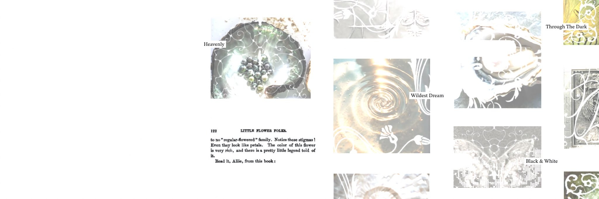 ⋆ ࣪'s banner