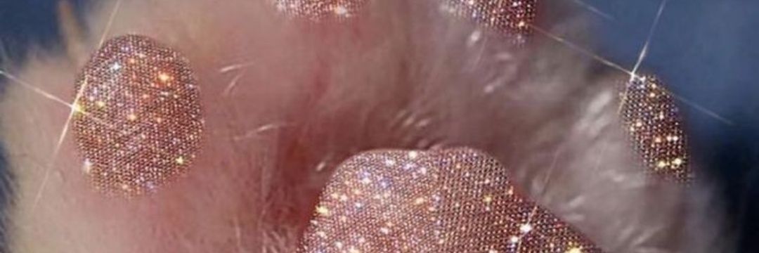 Valerie's banner