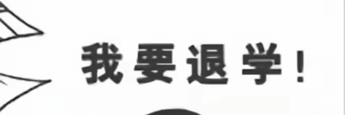 KaiLanZi's banner