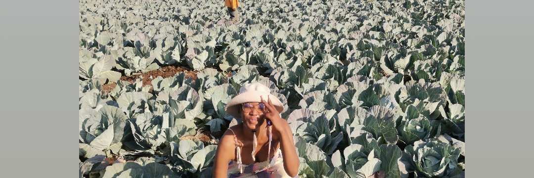 BOLEDISFRESHGREENS 🌱's banner