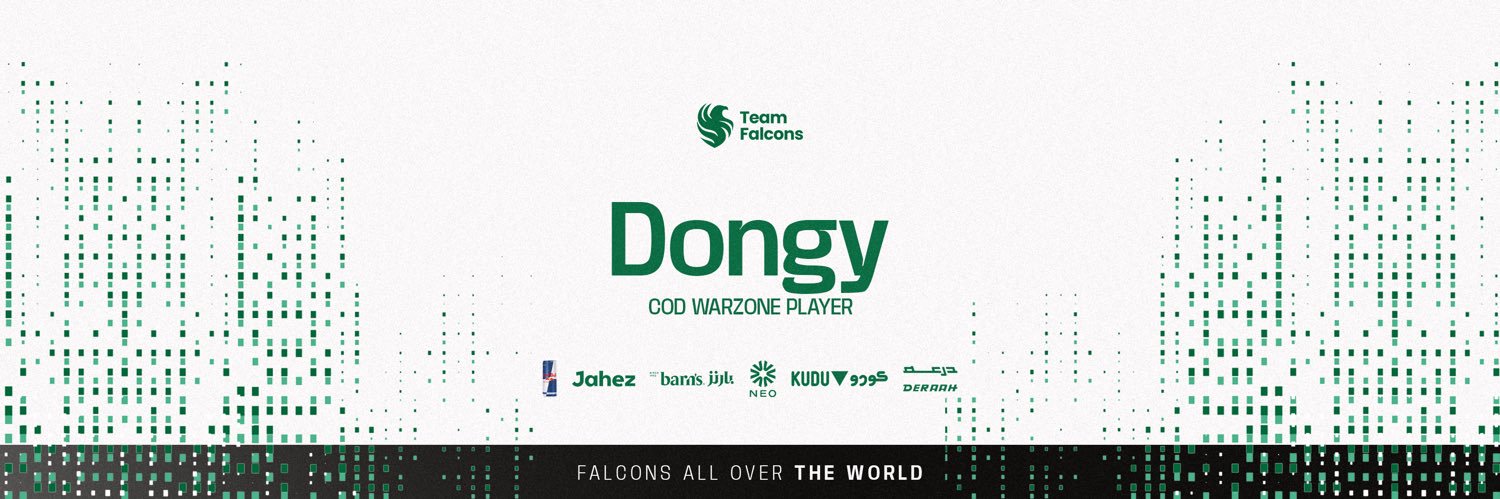 Falcons Dongy's banner