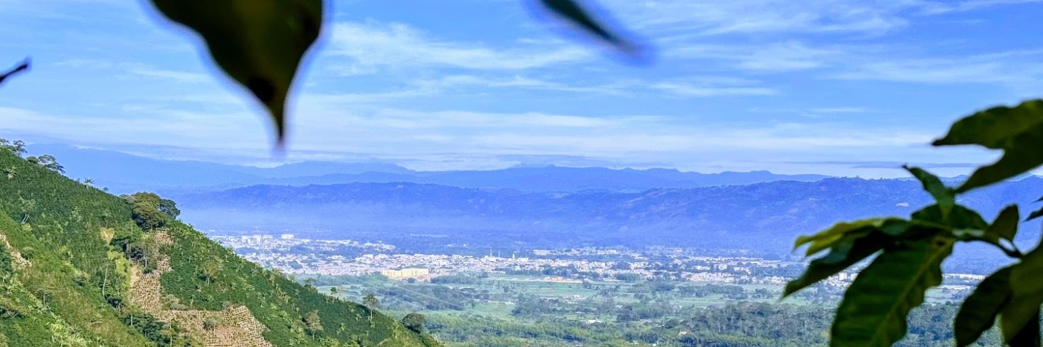 Melquisedec Torres's banner