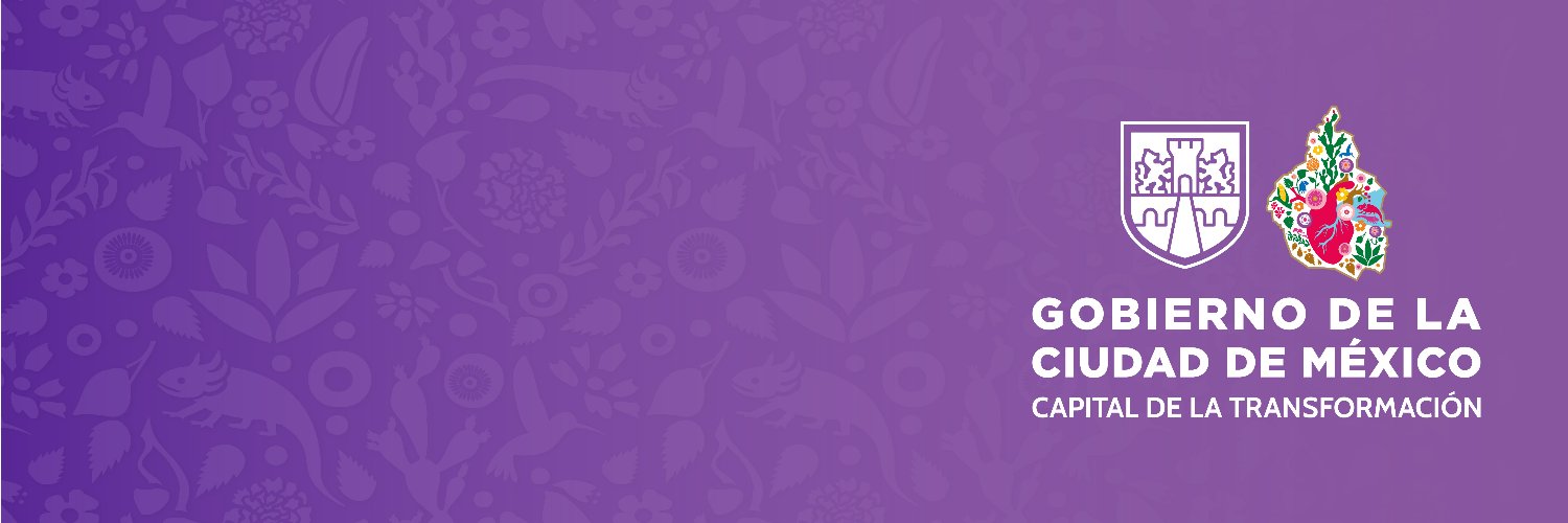 MetroCDMX's banner
