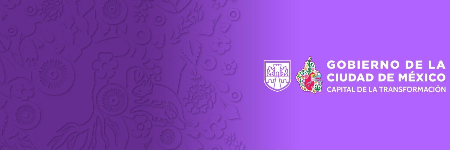 MetroCDMX's banner