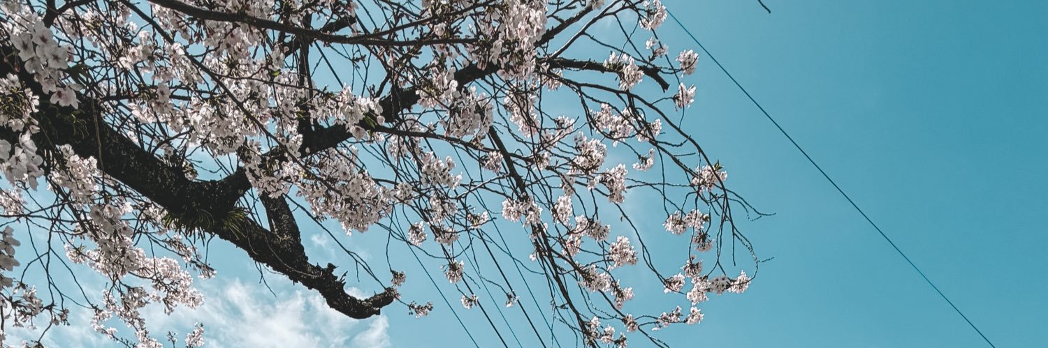 Mint 🍂's banner