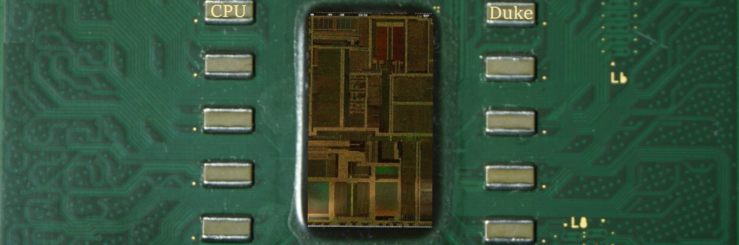 CPU Duke's banner