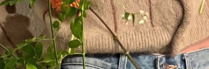 elena♡⁷⁎˳✧'s banner