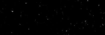 Vicky 𓆩♡𓆪's banner