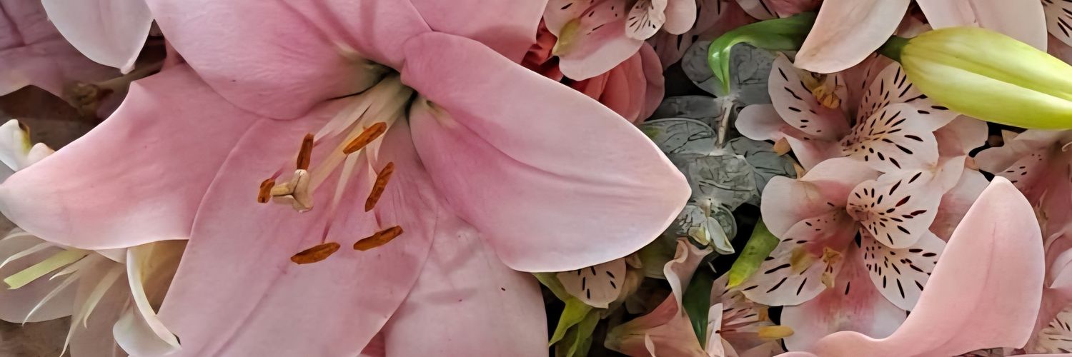 Yupii's banner