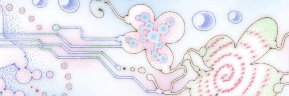 ✩⋆.ೃ࿔°𝄞 سماء °｡✫彡♪𓇢𓆸 ｡･:*:･ﾟ's banner