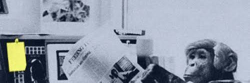 MonKey SeRelepe's banner