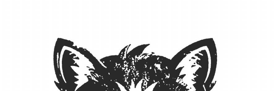 KYTNZ's banner