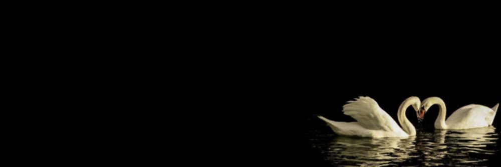 -`𝒜 ´-'s banner