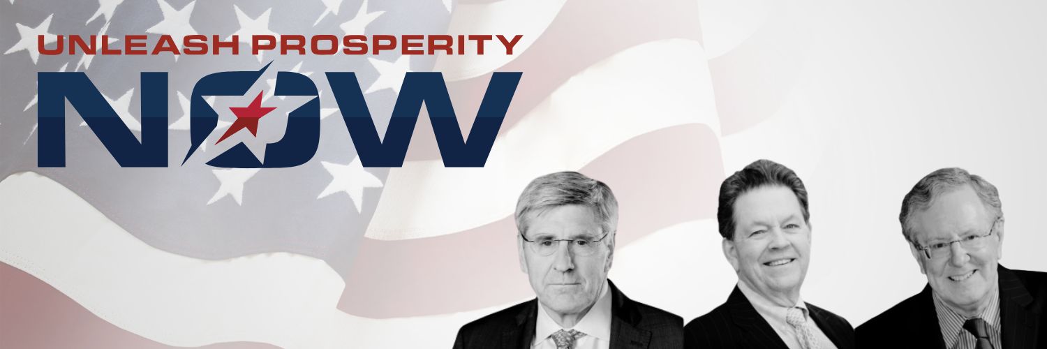 Unleash Prosperity Now's banner