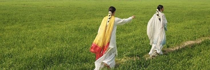s س 🦢's banner