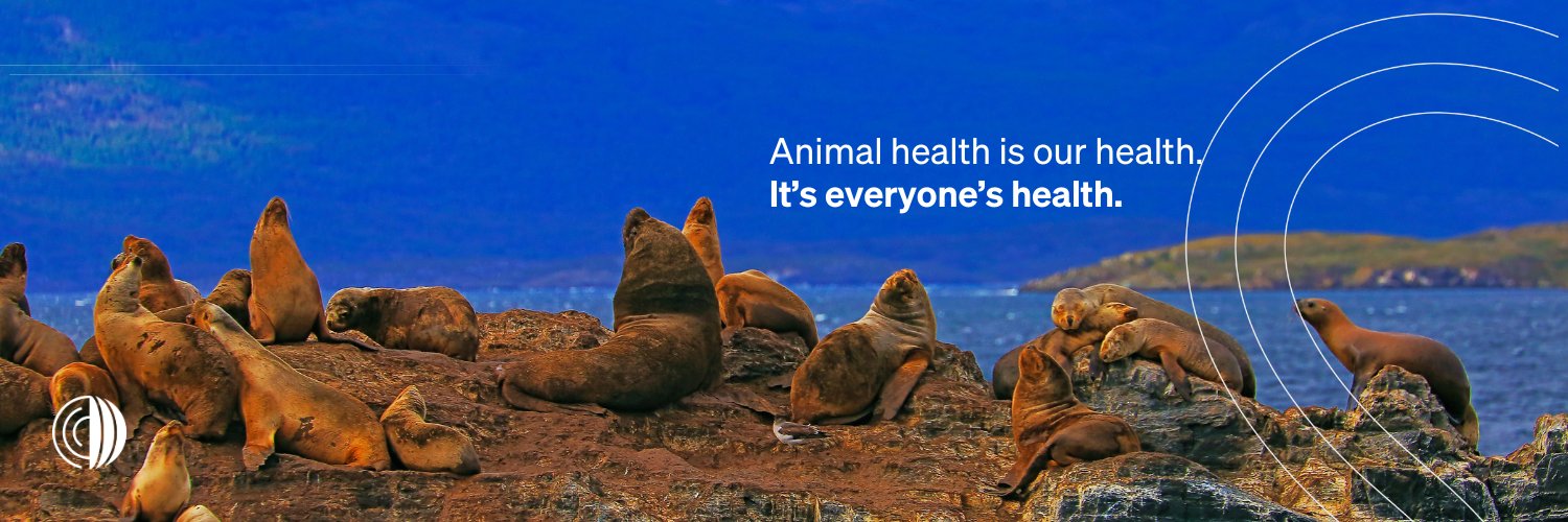 Organización Mundial de Sanidad Animal - Americas's banner