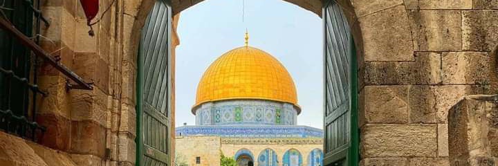 تيسير تربان/أبوعبدالله's banner