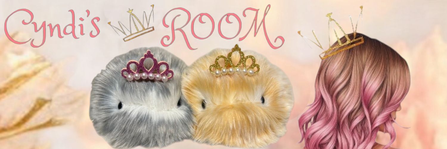 Cyndi👑シンディ(*Ꙩꙻ₀Ꙩꙻ)🦫💕's banner