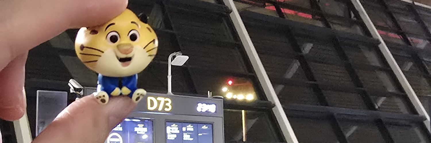 贝貝 🐚's banner